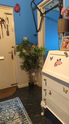 Decorating is an art